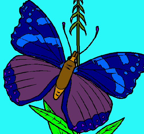 Dibujo Mariposa pintado por vivialinda