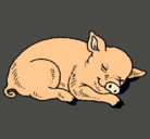 Dibujo Cerdo durmiendo pintado por anafj