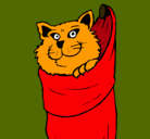 Dibujo Gato dentro de una calcetín pintado por xhikaa