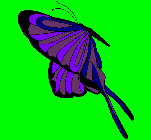 Dibujo Mariposa con grandes alas pintado por vivialinda