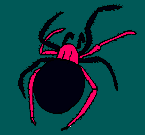 Araña venenosa