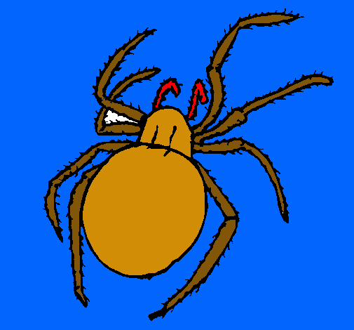 Araña venenosa