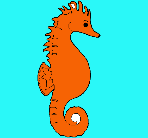 Caballito de mar