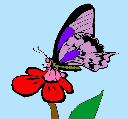 Mariposa en una flor