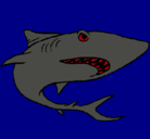 Dibujo Tiburón pintado por johnson