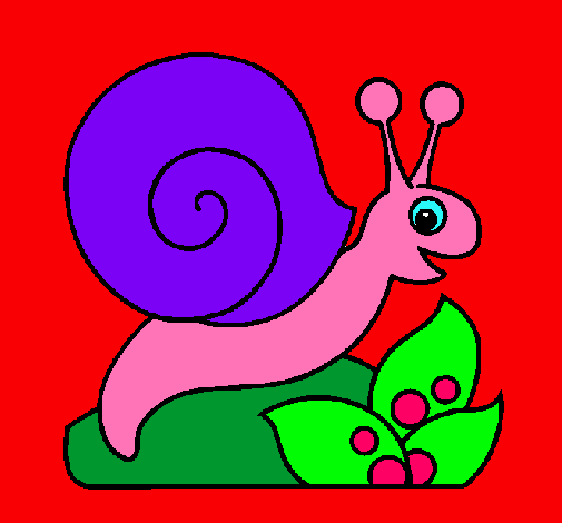 Caracol