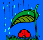 Dibujo Mariquita protegida de la lluvia pintado por viczo13