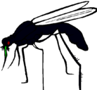 Dibujo Mosquito pintado por ALFREDO