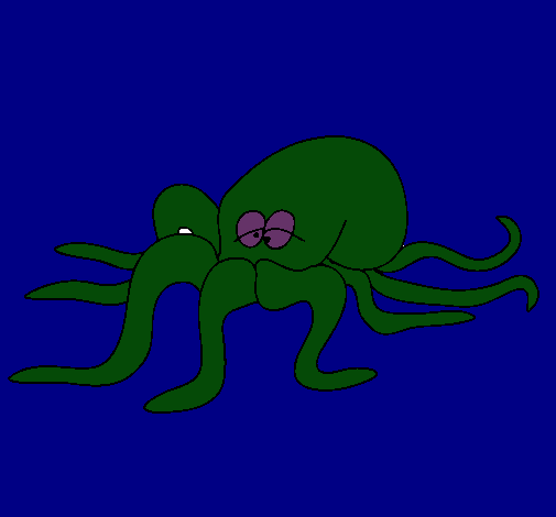 Pulpo