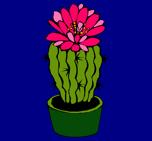 Cactus con flor