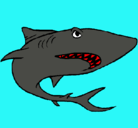 Dibujo Tiburón pintado por gadiel