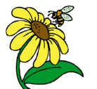 Dibujo Margarita con abeja pintado por YDMA