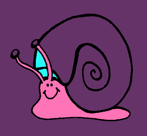 Caracol 