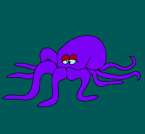 Pulpo