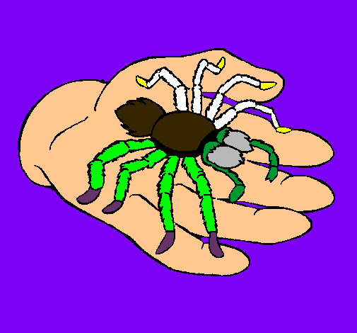 Tarántula