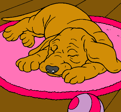 Dibujo Perro durmiendo pintado por chulita