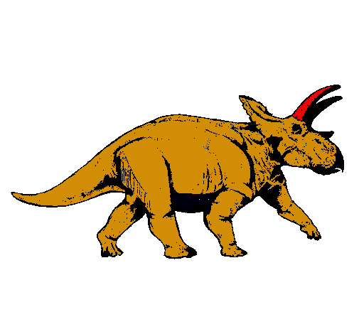 Triceratops