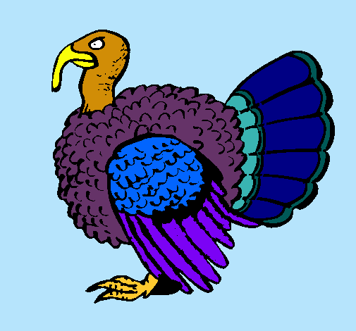 Pavo 