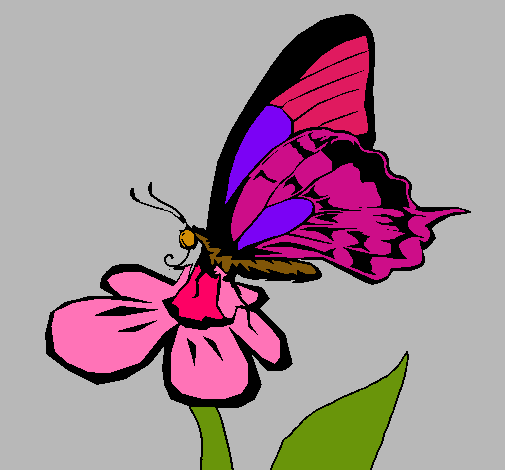 Dibujo Mariposa en una flor pintado por linis
