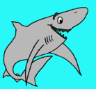 Dibujo Tiburón alegre pintado por werty