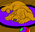Dibujo Perro durmiendo pintado por jared