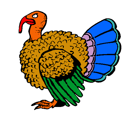 Pavo 