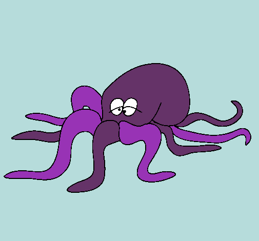 Pulpo