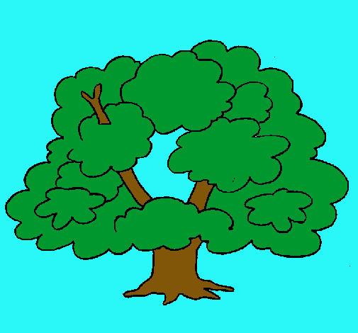 Árbol