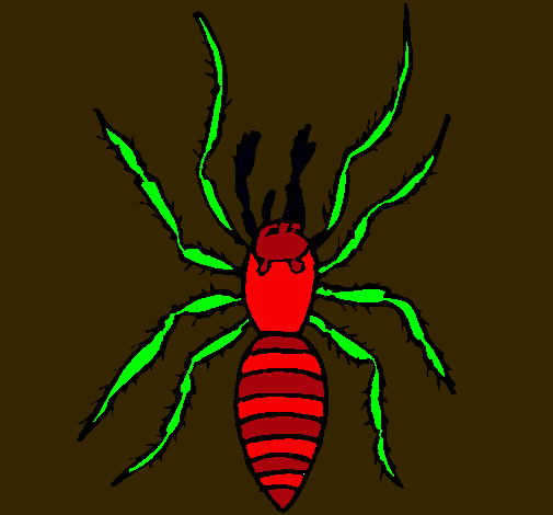 Araña tigre