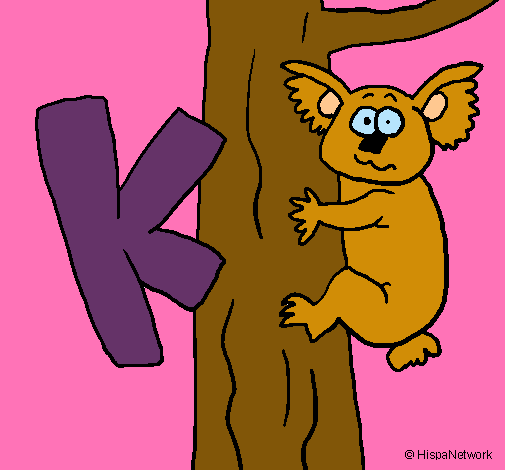 Koala