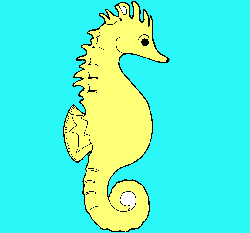 Caballito de mar