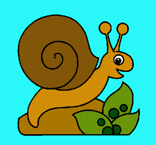 Caracol