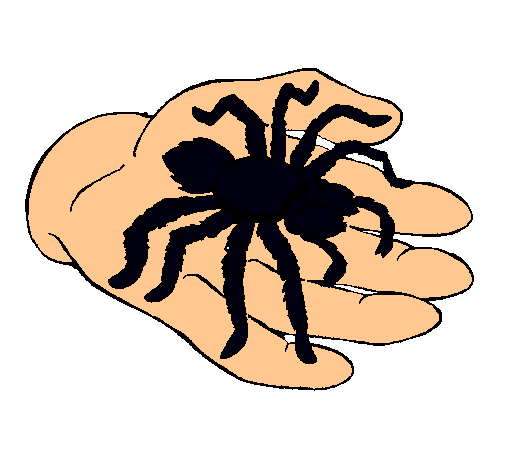 Tarántula