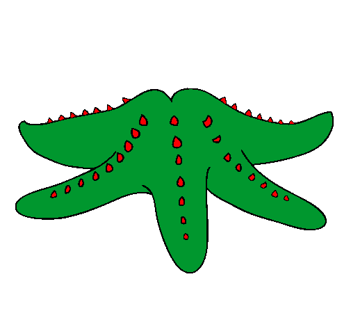Dibujo Estrella de mar pintado por gordita