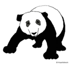 Dibujo Oso panda pintado por gato