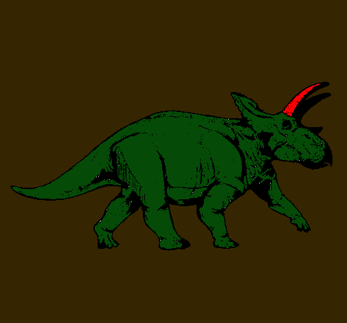 Triceratops