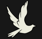 Dibujo Paloma de la paz al vuelo pintado por ostreas