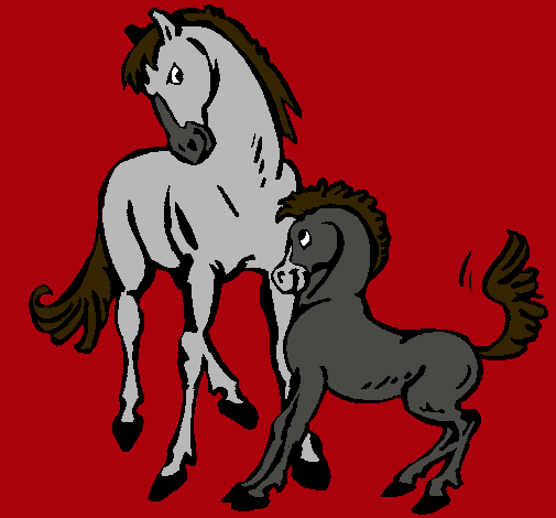 Caballos