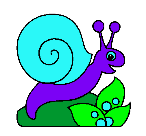 Caracol