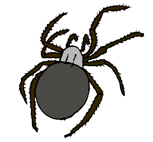Dibujo Araña venenosa pintado por sorey