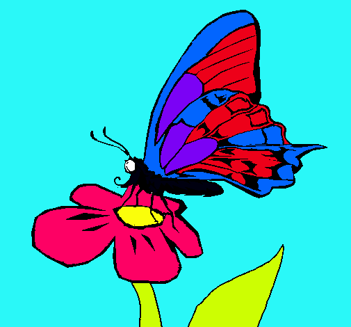 Mariposa en flor