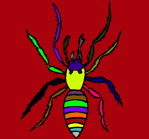 Araña tigre