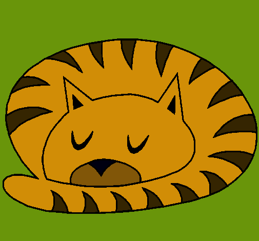 Gato durmiendo