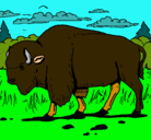 Dibujo Búfalo  pintado por chinito