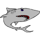 Dibujo Tiburón pintado por qazwsx
