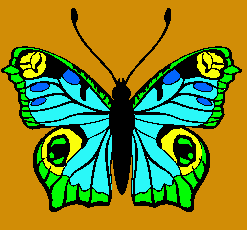 Mariposa 