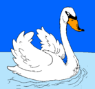Dibujo Cisne en el agua pintado por magica