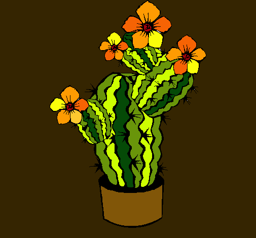 Flores de cactus