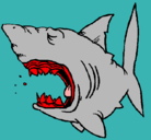 Dibujo Tiburón pintado por jairoxd