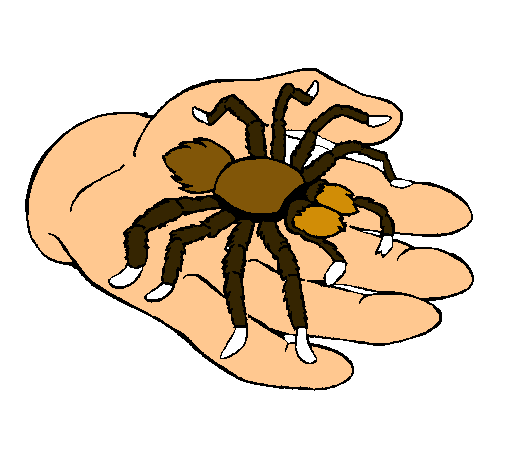 Tarántula